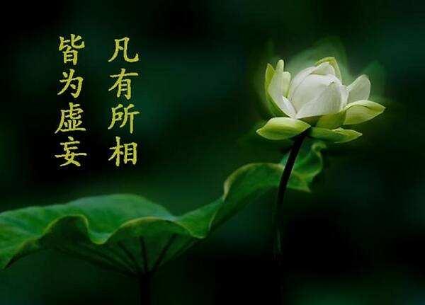 看破红尘是什么意思打一生肖,我已看破红尘是什么意思