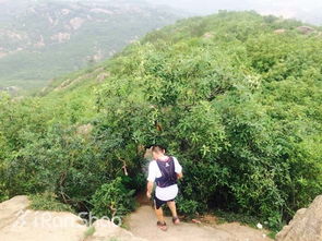 去野吧 歌词,去野吧 app