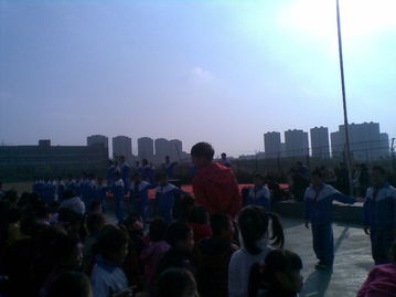 以阳光行动为主题的作文