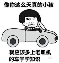 流行词“老司机”是什么意思？