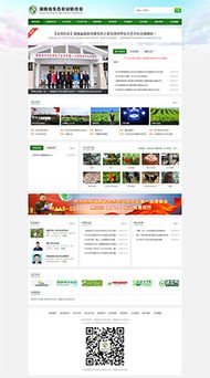 长沙营销型网站建设怎么做？