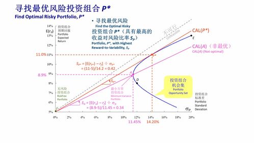 风险投资的风险,风险投资的运作