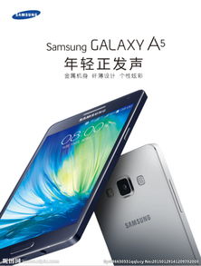 长的帅老的快长的丑活的久是什么歌，长的丑活的久是什么歌名