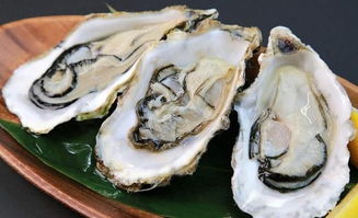 女人吃生蚝会想要吗