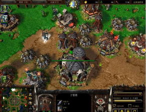 魔兽3冰封王座的所有秘籍