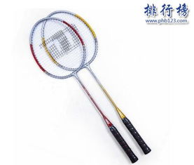羽毛球拍的十大品牌