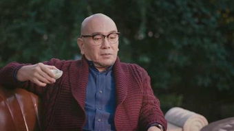 张晨光演过什么电视剧