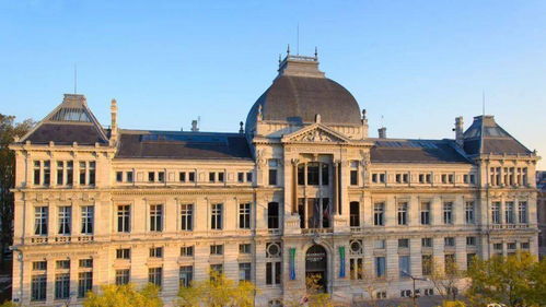 里昂有哪些公立大学？