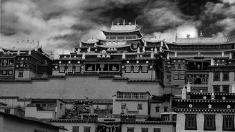 韩国电影《南行》谁是攻谁是受啊