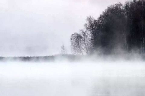 蒹葭的翻译及原文，蒹葭的翻译简短