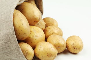 土豆网在线看电影