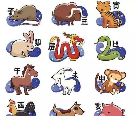 立刻就四看哈开什么生肖