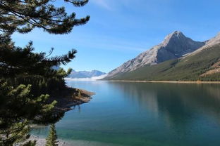 LYBLOG旅游博客？驴友博客？林业博客？露营博客？