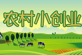 白手起家农村创业点子有哪些