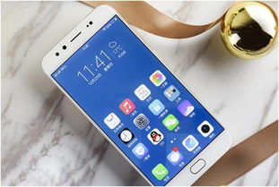 vivo手机到底怎么样？