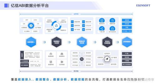 什么是项目分析