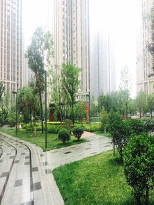 九九房产网河源,九九房产网ceo