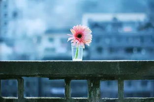 经典唯美古诗词