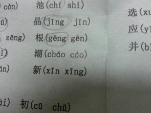 潮的拼音组词，据的拼音