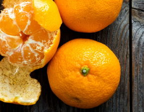 你在此处别动我去买几个橘子是什么梗