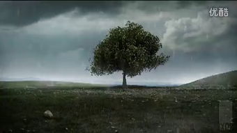 枯竭是什么意思?