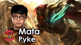 mata uzi,mata 和东北大鹌鹑