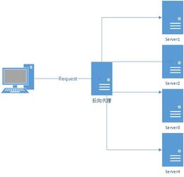 什么叫内网？有哪些作用？