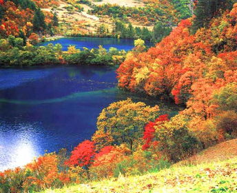 做自媒体想运营一个旅游博客，想到一个绝好的名字L