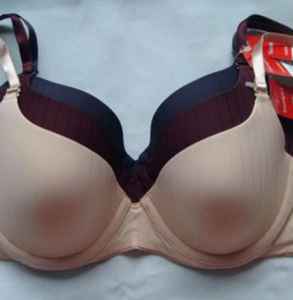 a罩杯多大水果比喻