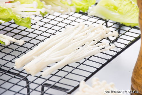 金针菇根部怎么再发芽了