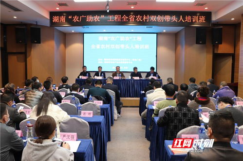 长沙创业网,湖南省创新创业