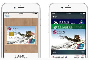 iPhone中的付款方式怎么修改