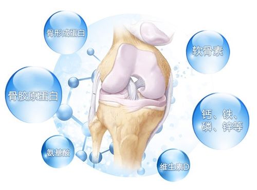关节肽治疗膝关节疗效怎么样