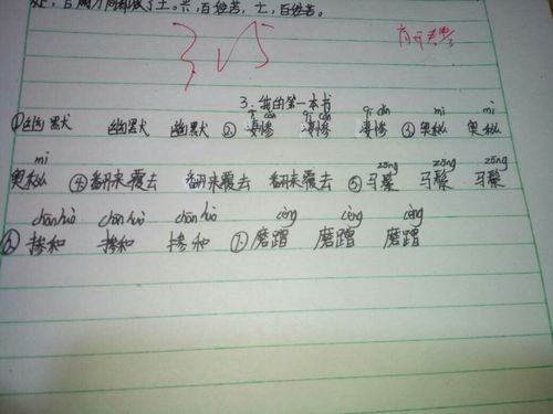 左右造句一年级简单的造句，左右造句两个意思造句