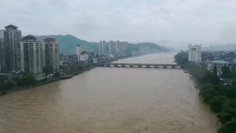 邵武在线的简介