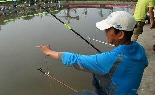 调浮漂教学视频教程