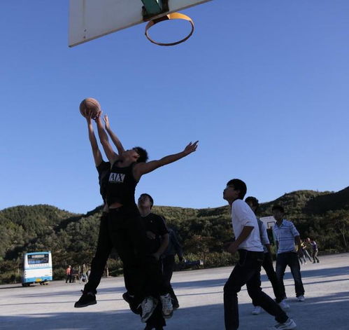 个人兴趣还好的分类，人都有哪些兴趣爱好