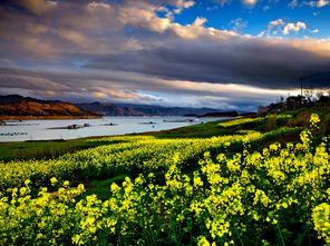 优美的句子摘抄