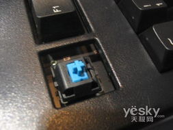 青轴 红轴,青轴 茶轴 红轴 黑轴区别