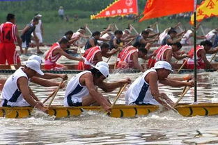 乐山龙舟会重点描写了哪三个活动场面