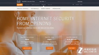 类似opendns的国内的DNS