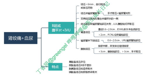系统操作流程图,管理信息系统流程图