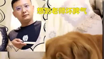 郭德纲屌丝青年系列是哪三部?