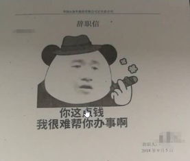 最牛辞职信的介绍