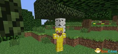 我的世界怎么安装forge？