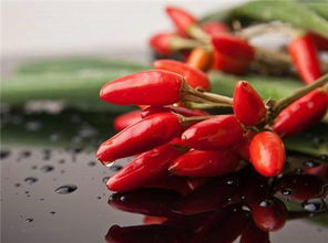 梦到辣椒树上结了好多青辣椒