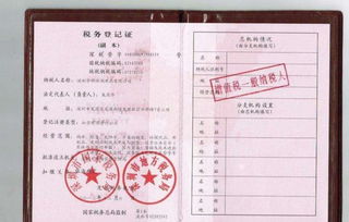 一般纳税人要具备什么条件