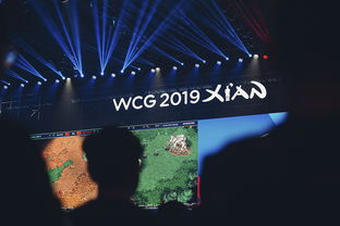 求历届英雄联盟WCG冠军分别是那个队？