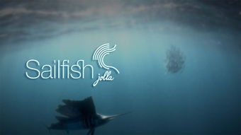 sailfish系统用什么语言开发