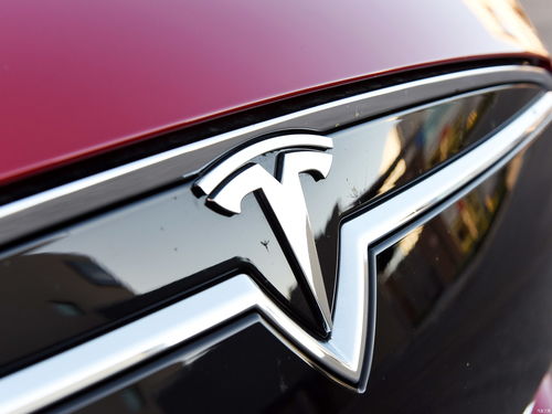 什么是特拉斯概念